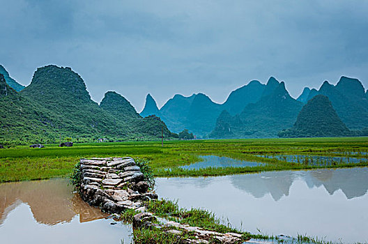 soi cau bach thu hom nay