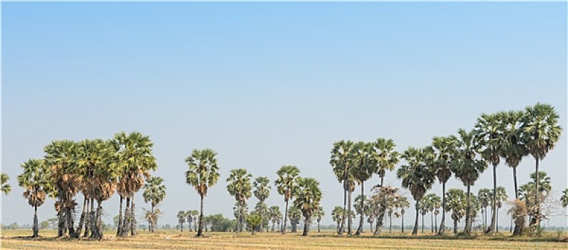 dụ đoán xsmb