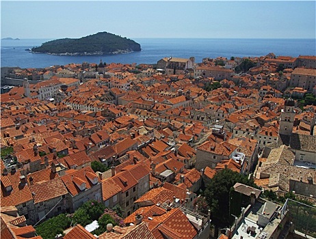 soi cau scv