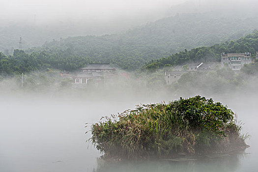 cầu bạch thủ 247