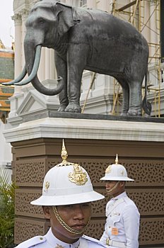 soi cau bach kim mien phi