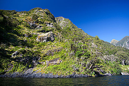 số đồng nai