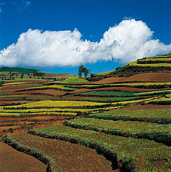 xổ số vũng tàu hôm nay