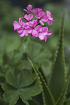 xổ số kiên