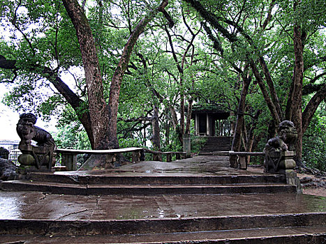 thống kê xổ số bình định
