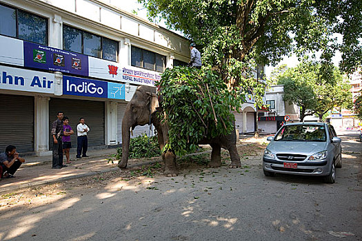 thong ke soi cau mb