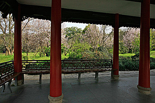 dự đoán xỉu chủ