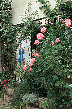 hoi lo de
