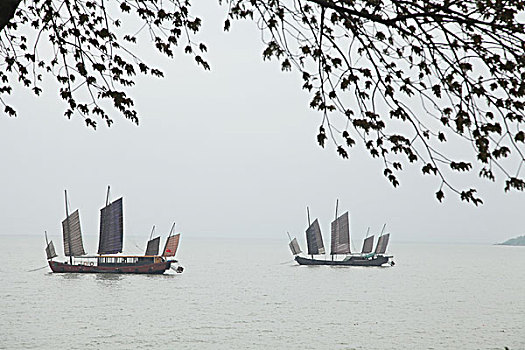 sổ kết qua