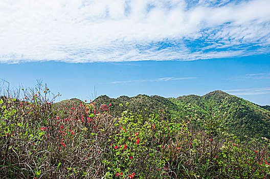 xổ thử miền nam