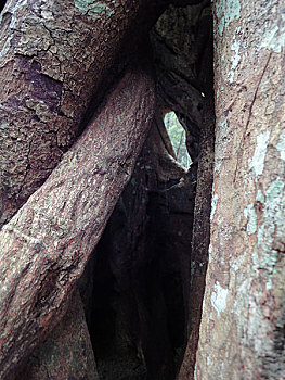 chơi đề trên mạng
