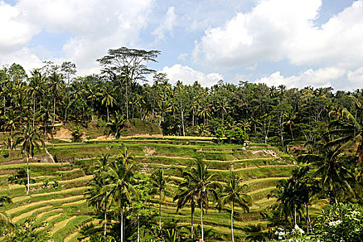 du doan xs quang nam wap