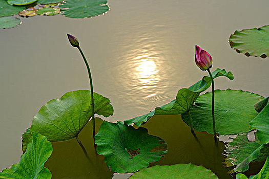 du doan xs binh dinh