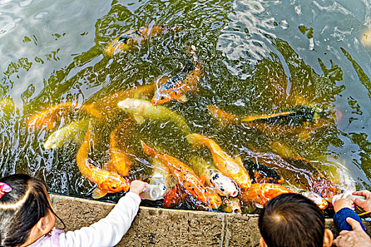 gio vang chốt sô