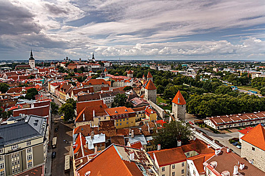 soi cau misa