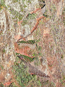 xổ số long an hàng tuần