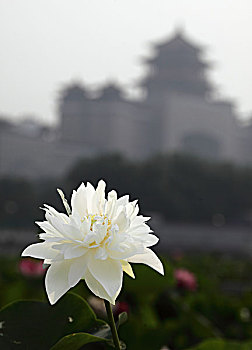 hướng dẫn chơi xsmb
