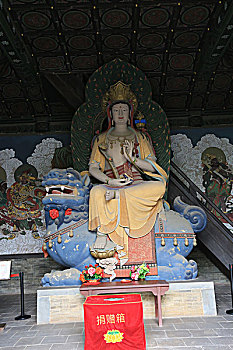 soi cau 68