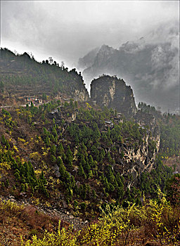 du doan w