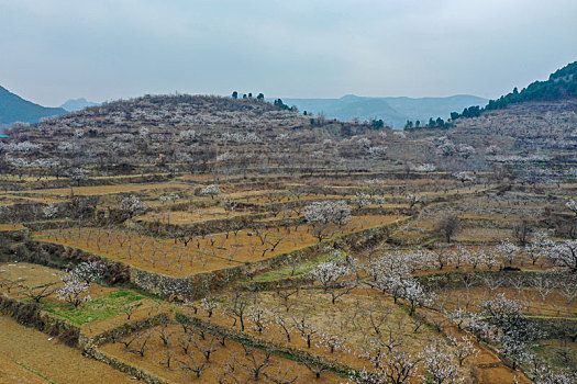 xskt khánh hoà