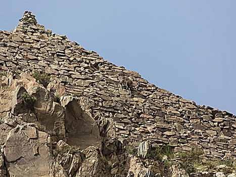 soi cau du doan xsvl