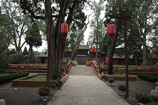 bạch thủ lô đề hôm nay