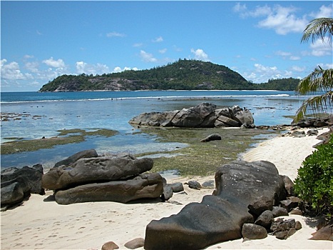 soi cau giai dac biet binh dinh