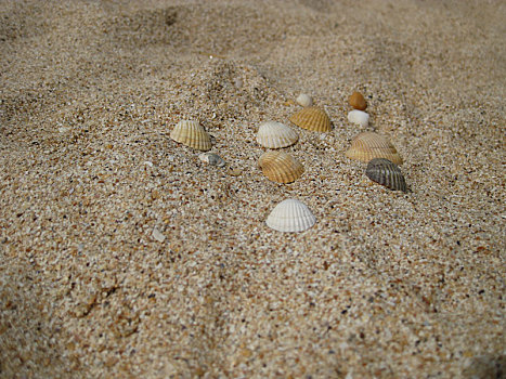 cách chơi lô không bao giờ thua