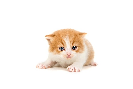 dự đoán xổ số 24