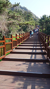 soi cau dau duoi