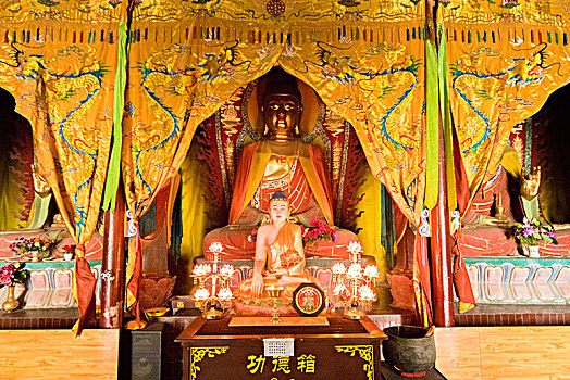 soi cau xo so ho chi minh
