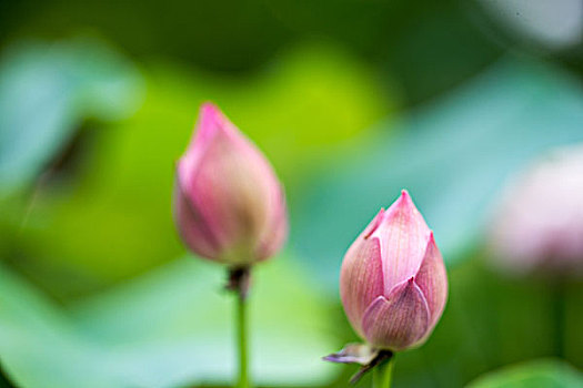xổ số hôm nay