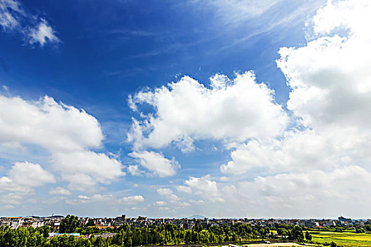 du doan rong bach kim