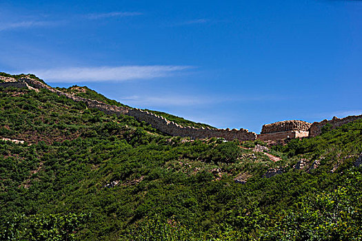 bạch thủ lô mb