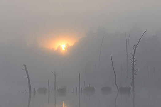 tỉ lệ ăn 3 càng