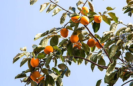 cách đánh đề chuẩn