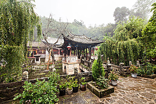 soi cau lo bach thu