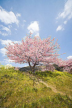 xổ số hàng ngày