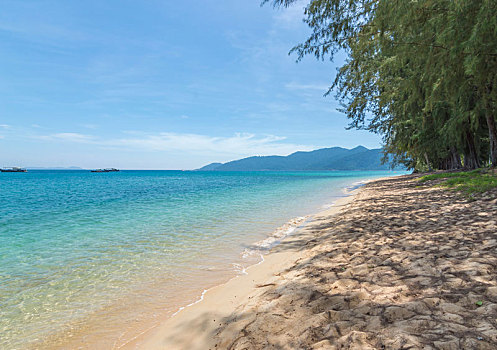 soi cau bach thu lo de mien bac mien phi