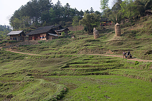 lo đe 88