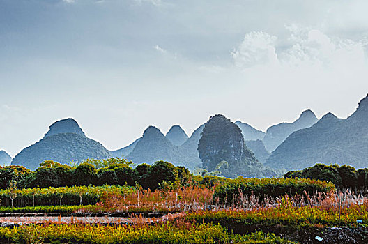 xổ số mẹ