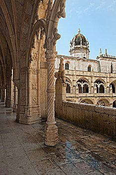 cau bach thu la