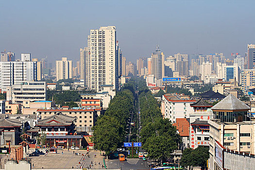rong bach kim soi cau lo de