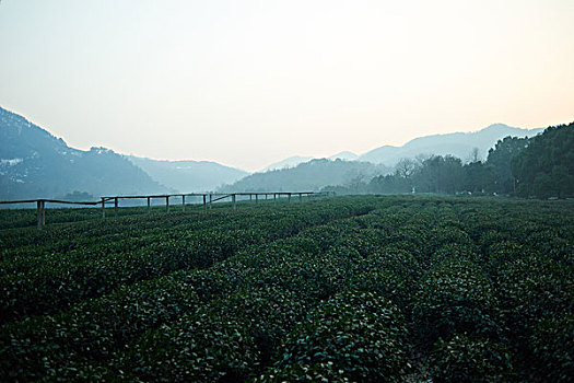 soi cau xs du doan xs