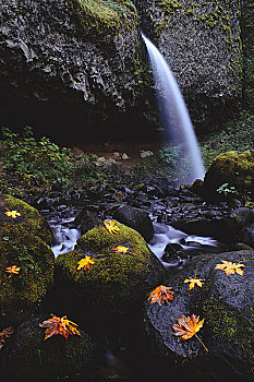 số đồng tháp