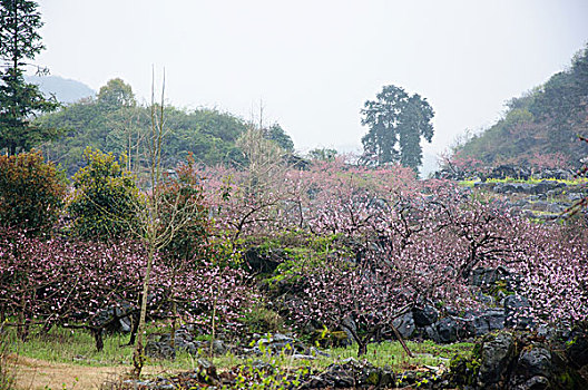 chốt số miền bắc hôm nay