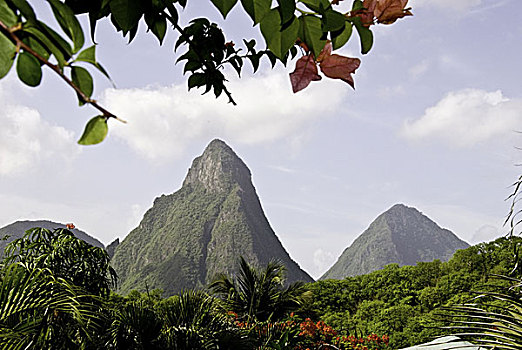 soi cau de bach thu