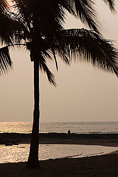 số bình dương