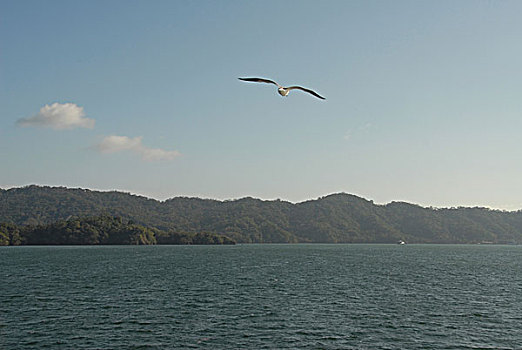 soi cau xs 366