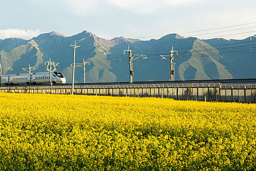 cầu bạch thủ long an